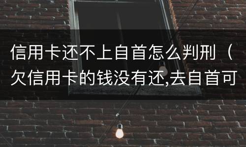 信用卡还不上自首怎么判刑（欠信用卡的钱没有还,去自首可以轻判吗?）