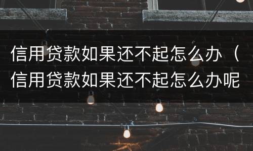 信用贷款如果还不起怎么办（信用贷款如果还不起怎么办呢）