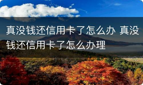 真没钱还信用卡了怎么办 真没钱还信用卡了怎么办理
