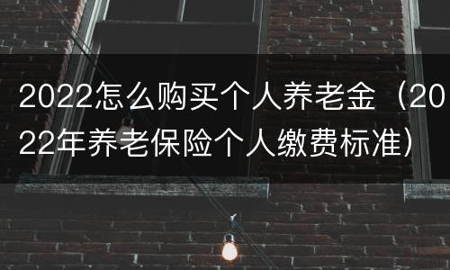 2022怎么购买个人养老金（2022年养老保险个人缴费标准）