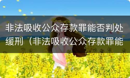 非法吸收公众存款罪能否判处缓刑（非法吸收公众存款罪能判缓刑吗）