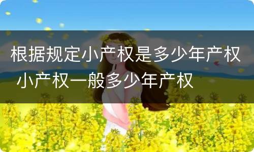 根据规定小产权是多少年产权 小产权一般多少年产权