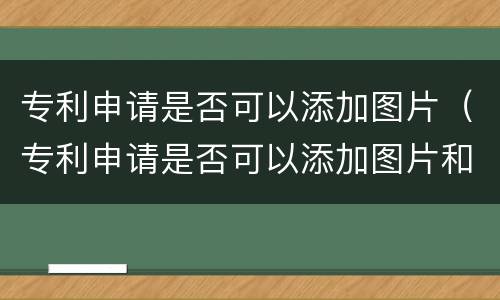 专利申请是否可以添加图片（专利申请是否可以添加图片和视频）