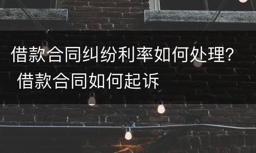 借款合同纠纷利率如何处理？ 借款合同如何起诉