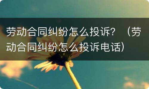 劳动合同纠纷怎么投诉？（劳动合同纠纷怎么投诉电话）
