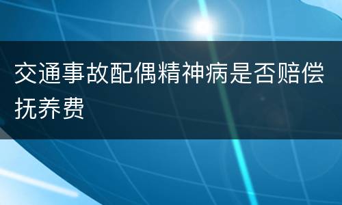 交通事故配偶精神病是否赔偿抚养费