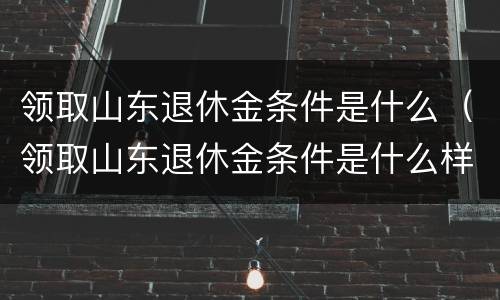 领取山东退休金条件是什么（领取山东退休金条件是什么样的）
