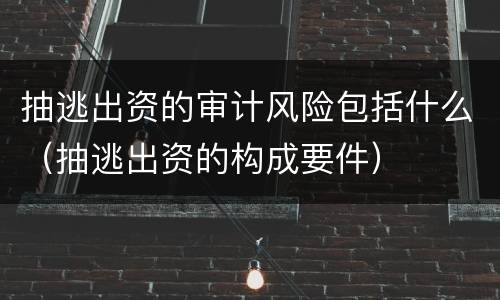 抽逃出资的审计风险包括什么（抽逃出资的构成要件）