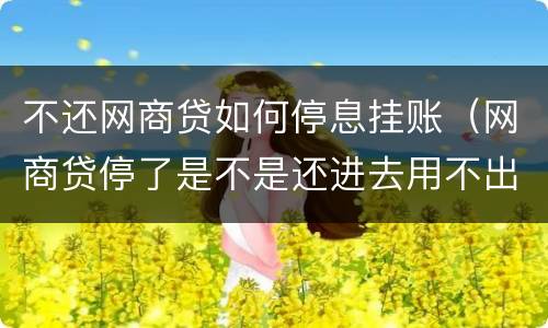 不还网商贷如何停息挂账（网商贷停了是不是还进去用不出来了）