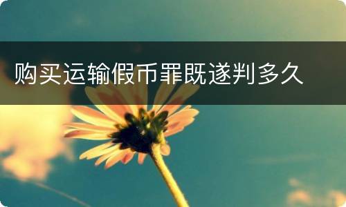 购买运输假币罪既遂判多久