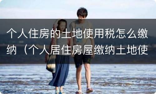 个人住房的土地使用税怎么缴纳（个人居住房屋缴纳土地使用税吗）