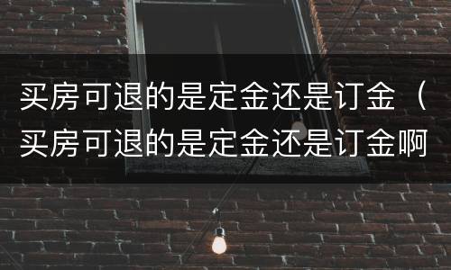 买房可退的是定金还是订金（买房可退的是定金还是订金啊）