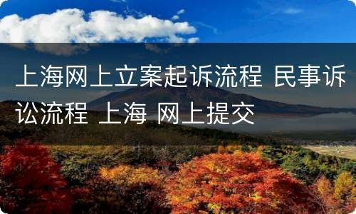 上海网上立案起诉流程 民事诉讼流程 上海 网上提交