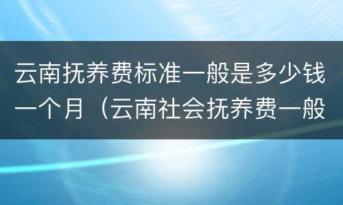 云南抚养费标准一般是多少钱一个月（云南社会抚养费一般多少钱）