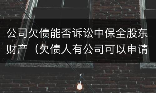 公司欠债能否诉讼中保全股东财产（欠债人有公司可以申请财产保全吗）