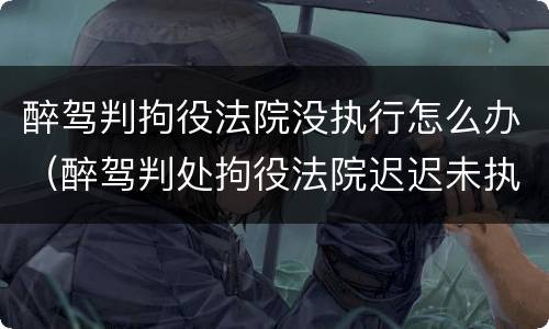 醉驾判拘役法院没执行怎么办（醉驾判处拘役法院迟迟未执行）