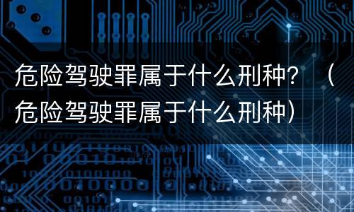 危险驾驶罪属于什么刑种？（危险驾驶罪属于什么刑种）