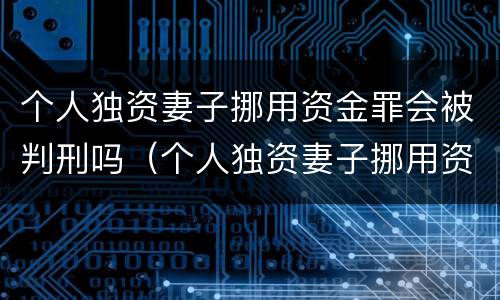 个人独资妻子挪用资金罪会被判刑吗（个人独资妻子挪用资金罪会被判刑吗多少年）