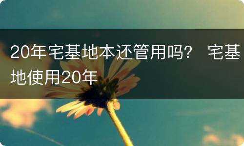 20年宅基地本还管用吗？ 宅基地使用20年