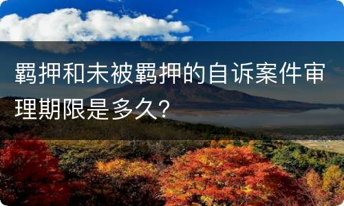 羁押和未被羁押的自诉案件审理期限是多久？