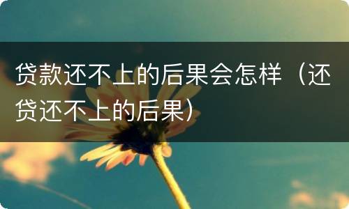 贷款还不上的后果会怎样（还贷还不上的后果）