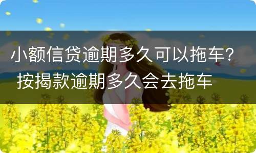 小额信贷逾期多久可以拖车？ 按揭款逾期多久会去拖车
