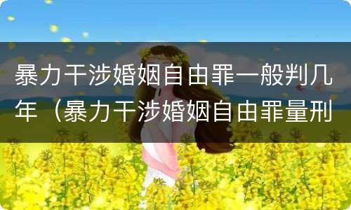 暴力干涉婚姻自由罪一般判几年（暴力干涉婚姻自由罪量刑）