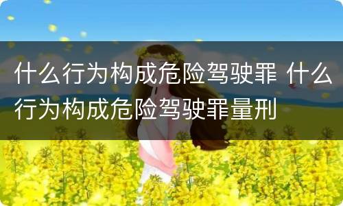 什么行为构成危险驾驶罪 什么行为构成危险驾驶罪量刑