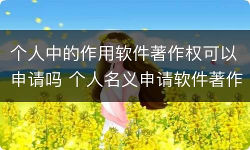 个人中的作用软件著作权可以申请吗 个人名义申请软件著作权