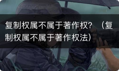 复制权属不属于著作权？（复制权属不属于著作权法）