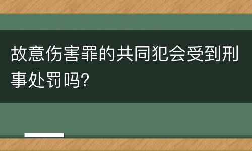 故意伤害罪的共同犯会受到刑事处罚吗？