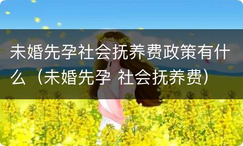 未婚先孕社会抚养费政策有什么（未婚先孕 社会抚养费）