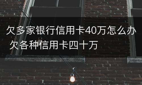 欠多家银行信用卡40万怎么办 欠各种信用卡四十万