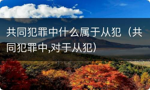 共同犯罪中什么属于从犯（共同犯罪中,对于从犯）