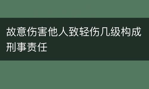 故意伤害他人致轻伤几级构成刑事责任