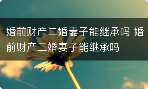 婚前财产二婚妻子能继承吗 婚前财产二婚妻子能继承吗