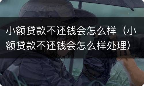 小额贷款不还钱会怎么样（小额贷款不还钱会怎么样处理）