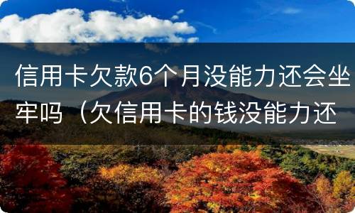 信用卡欠款6个月没能力还会坐牢吗（欠信用卡的钱没能力还会不会坐牢）