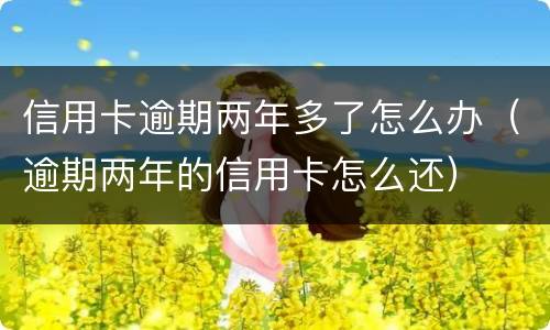 信用卡逾期两年多了怎么办（逾期两年的信用卡怎么还）