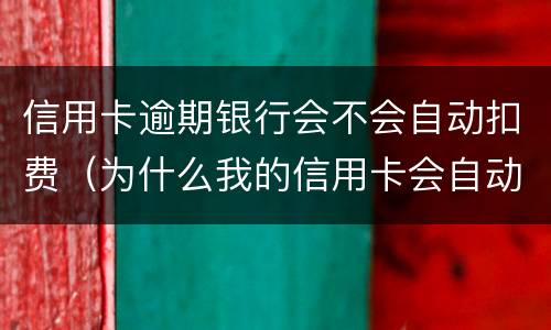 信用卡逾期银行会不会自动扣费（为什么我的信用卡会自动扣费）