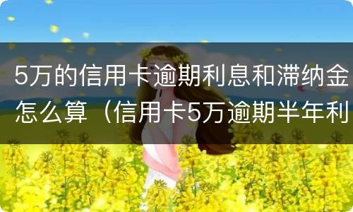 5万的信用卡逾期利息和滞纳金怎么算（信用卡5万逾期半年利息是多少）
