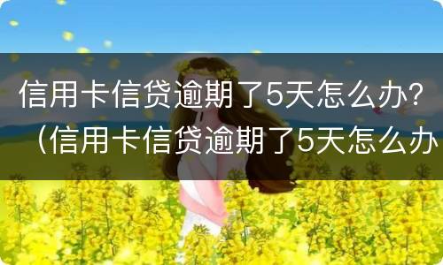 信用卡信贷逾期了5天怎么办？（信用卡信贷逾期了5天怎么办理）