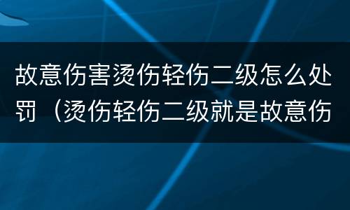 故意伤害烫伤轻伤二级怎么处罚（烫伤轻伤二级就是故意伤害吗）