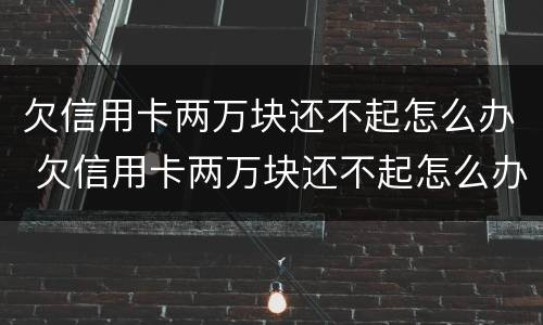 欠信用卡两万块还不起怎么办 欠信用卡两万块还不起怎么办呢