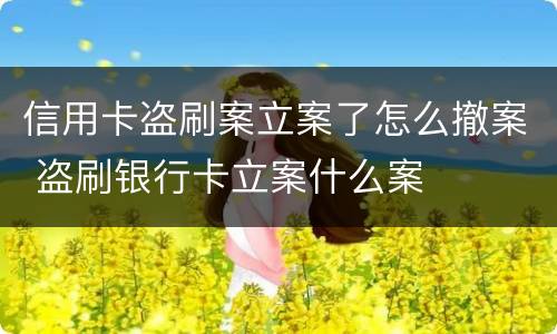 信用卡盗刷案立案了怎么撤案 盗刷银行卡立案什么案