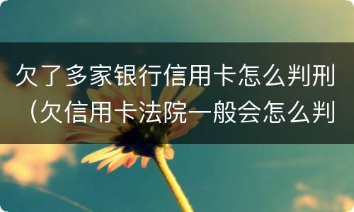 欠了多家银行信用卡怎么判刑（欠信用卡法院一般会怎么判）