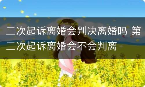 二次起诉离婚会判决离婚吗 第二次起诉离婚会不会判离