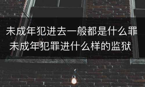 未成年犯进去一般都是什么罪 未成年犯罪进什么样的监狱