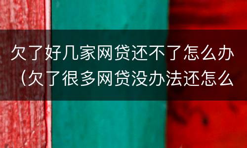欠了好几家网贷还不了怎么办（欠了很多网贷没办法还怎么办）