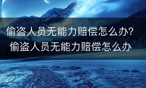 偷盗人员无能力赔偿怎么办？ 偷盗人员无能力赔偿怎么办